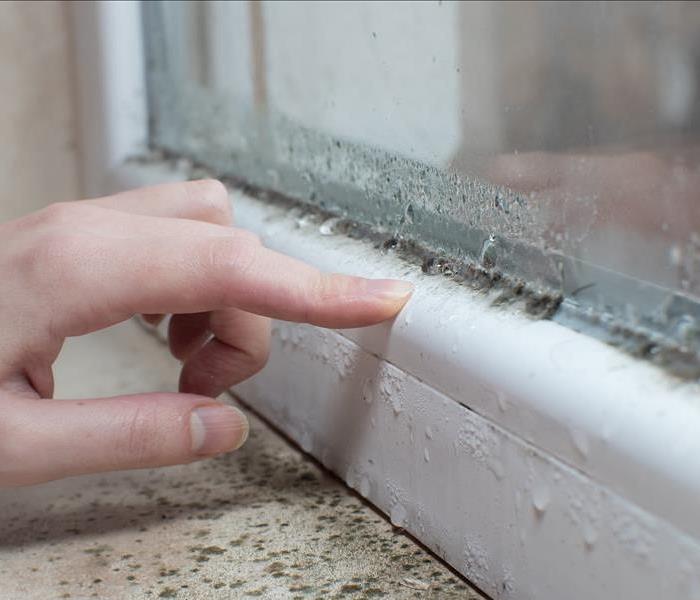 Hand pointing at mold growing in a windowsill. 